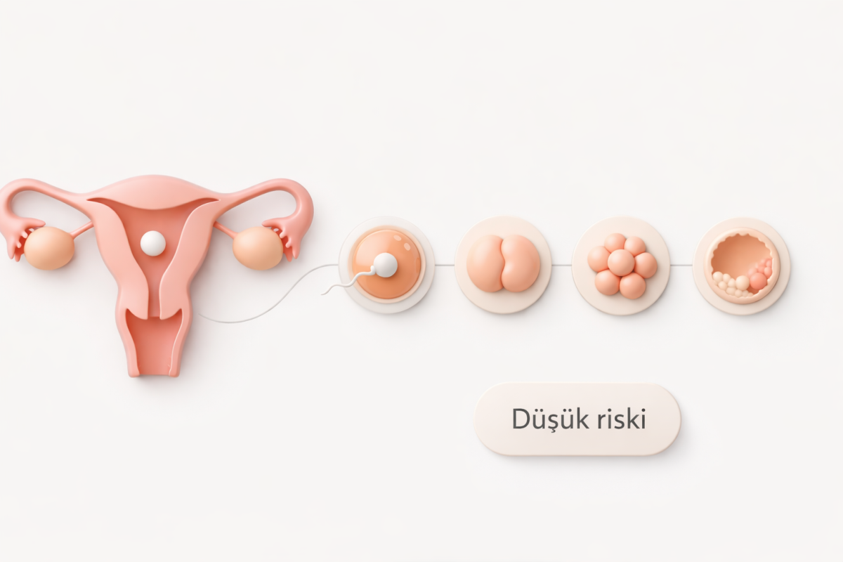 Düşük riski ve tüp bebek ilişkisi